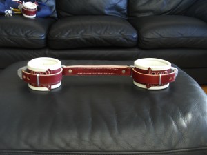 humane restraint wrist to waist system
