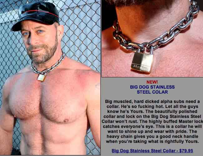 Big Dog Stainless Steel Collar 