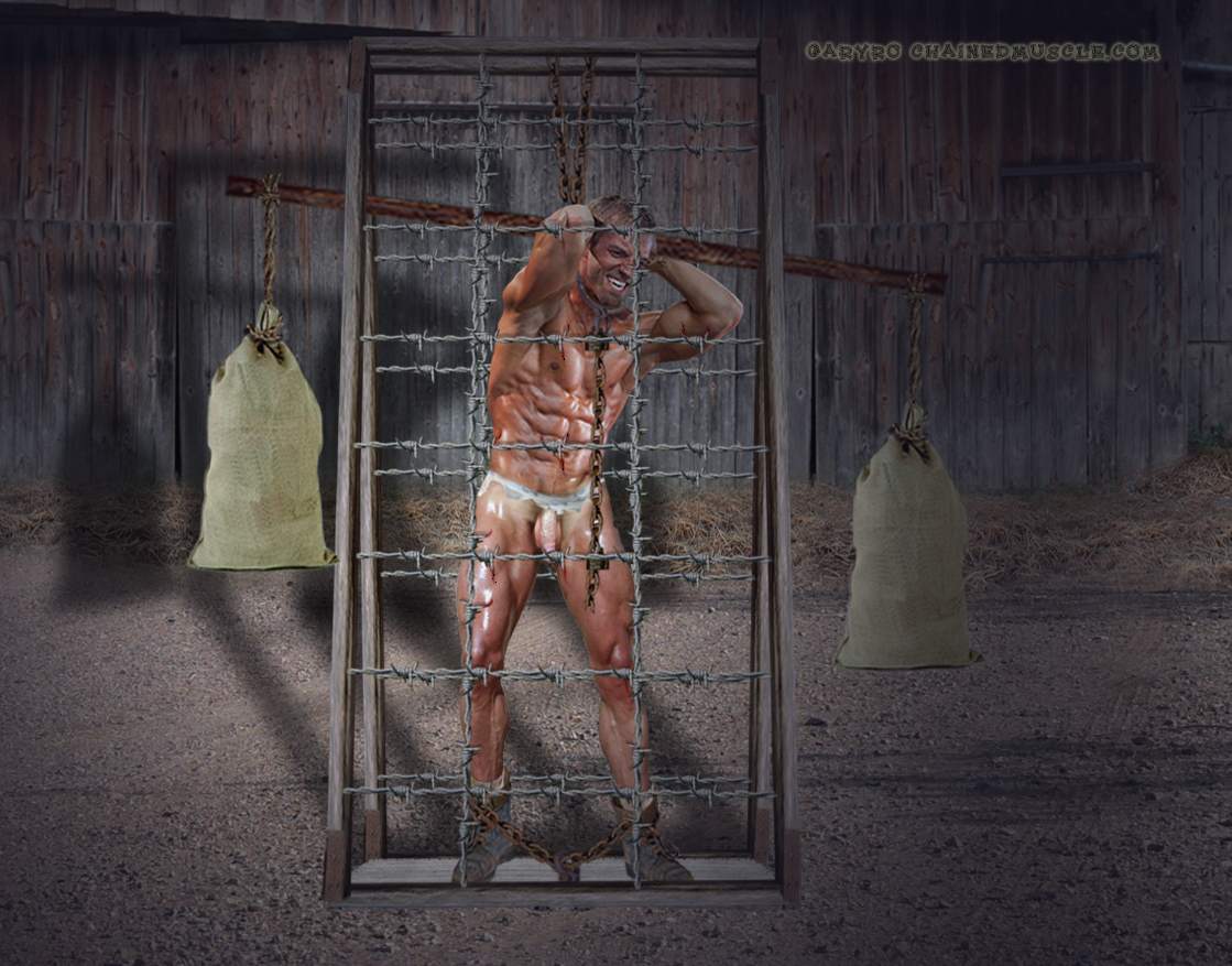 Redneck Justice - The Punishment Cage