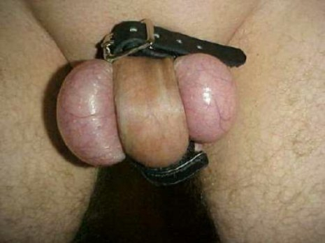 Ball bondage and cock Category:Male genital